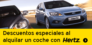 Alquile un coche
