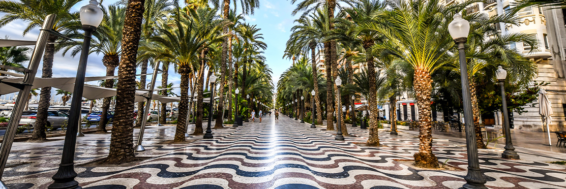 What are the must-see places in Alicante ?