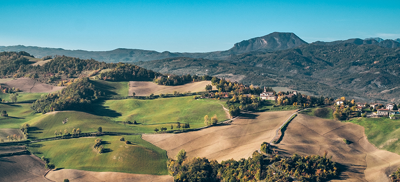 What are the top things to do in Bologna ?