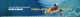 banner.image.altText