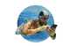 banner.image.altText