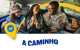 banner.image.altText