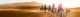 banner.image.altText
