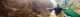 banner.image.altText