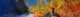 banner.image.altText