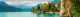 banner.image.altText