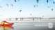 banner.image.altText