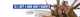 banner.image.altText