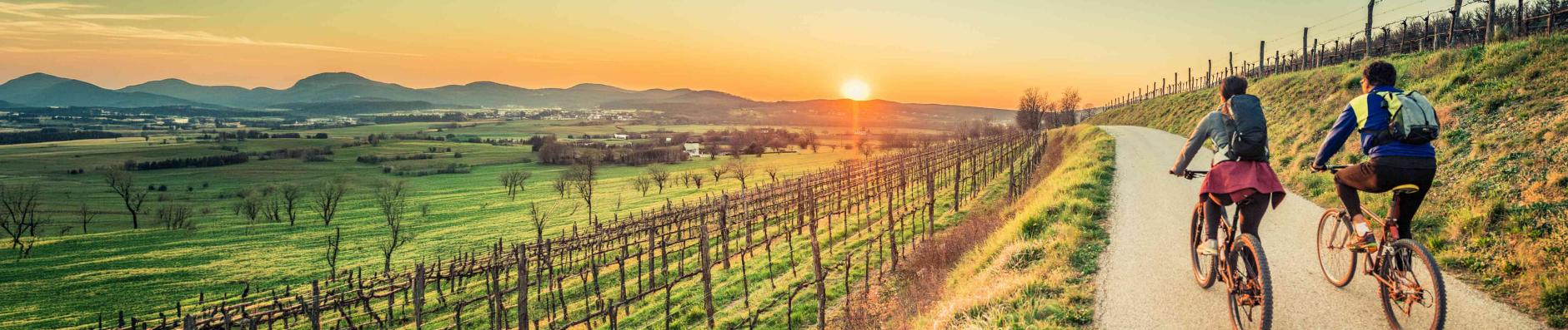 banner.image.altText