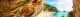 banner.image.altText