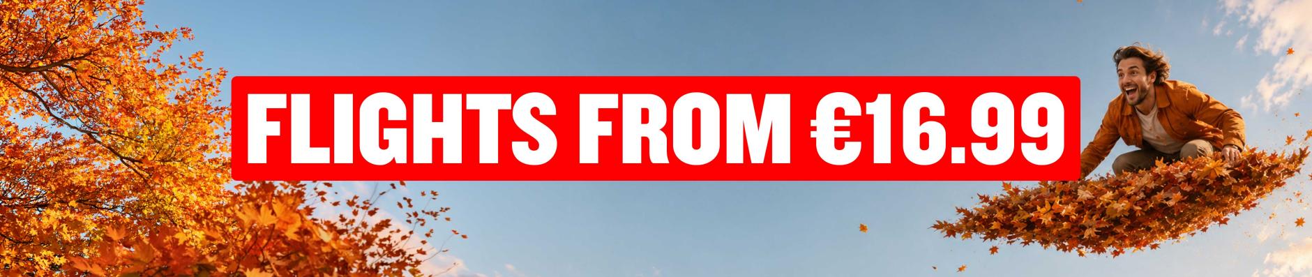 banner.image.altText