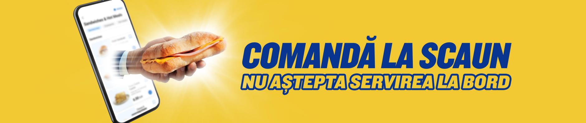 banner.image.altText