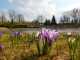 Things to do in Poznan visit Park Cytadela