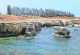Paphos travel guide