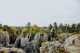 adrenaline-activities-viroin-hermeton-nature-park