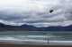 where-to-go-surfing-in-ireland-castlegregory-beach