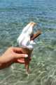 Paphos travel guide visit coral bay beach