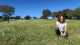 herdade da malhadinha
