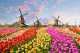 instagrammable-cities-amsterdam-windmills