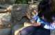 things to do in lourdes - pyrenees animal park
