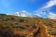 Explore Tenerife Mount Teide