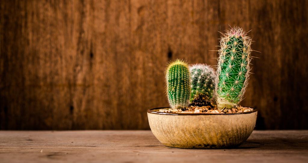 Seven Strange Superstitions from around Europe Try Somewhere New